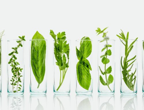 Glosar – Biljke, jedinjenja, bolesti…